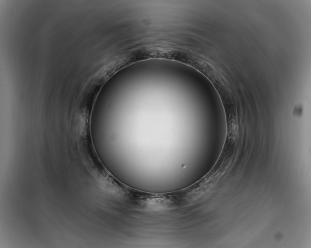 X0000100380468200806061223