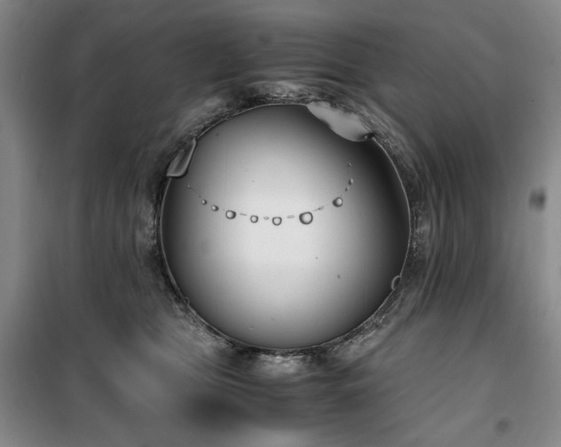 X0000100380469200806061223
