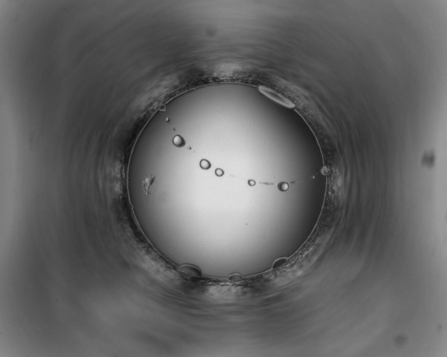 X0000100380470200806061223