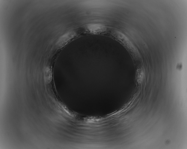 X0000100380471200806061223