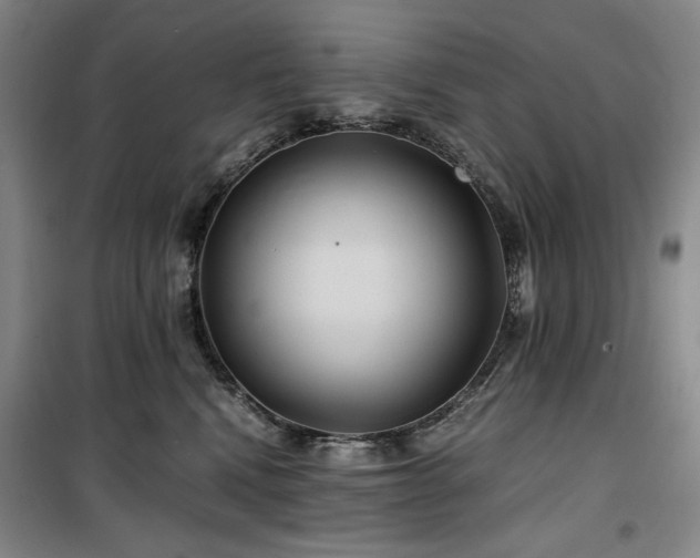 X0000100380472200806061223