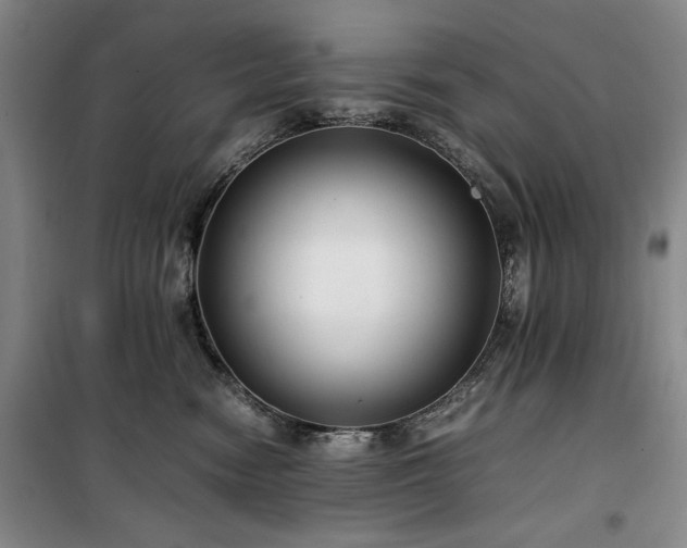X0000100380474200806061223