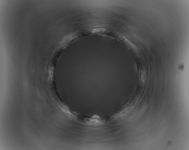 X0000100380475200806061223