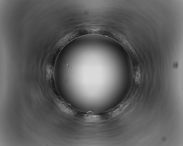 X0000100380476200806061223