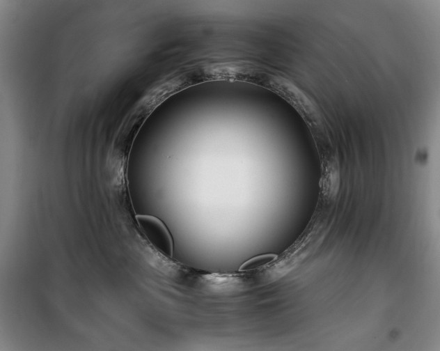 X0000100380477200806061223