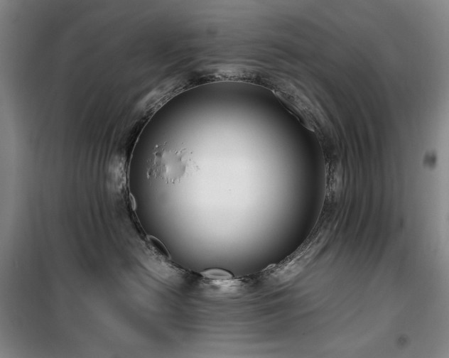 X0000100380478200806061223