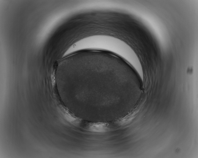 X0000100380479200806061223