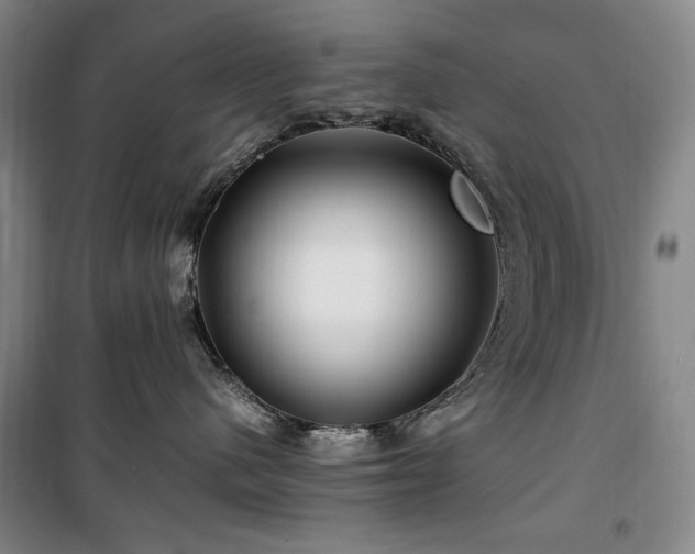 X0000100380480200806061223