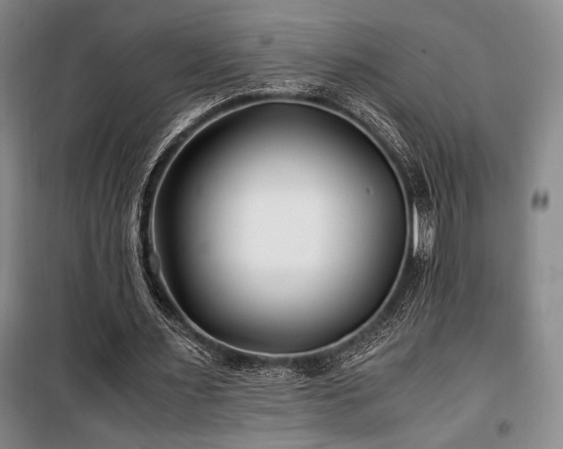 X0000100380483200806061222