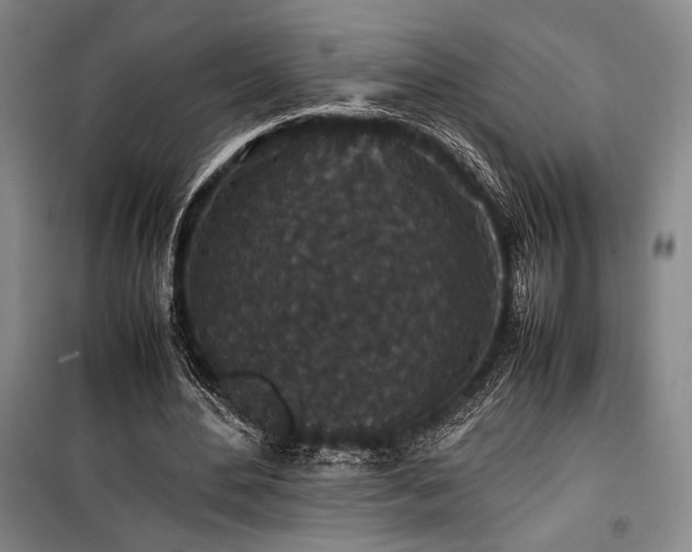 X0000100380484200806061222