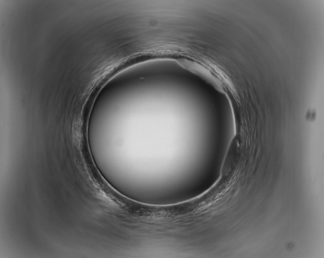 X0000100380485200806061222