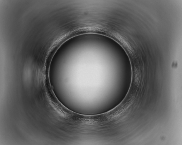 X0000100380486200806061222