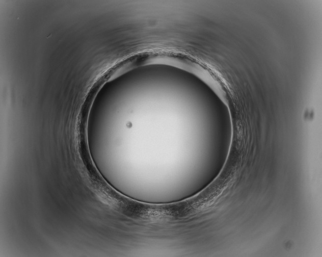 X0000100380487200806061222