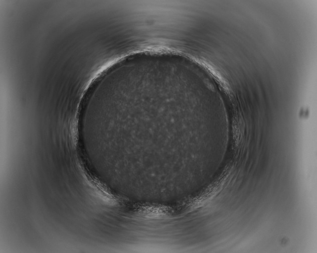 X0000100380488200806061222
