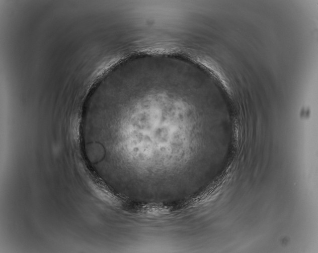 X0000100380491200806061222