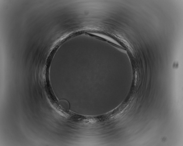 X0000100380492200806061222