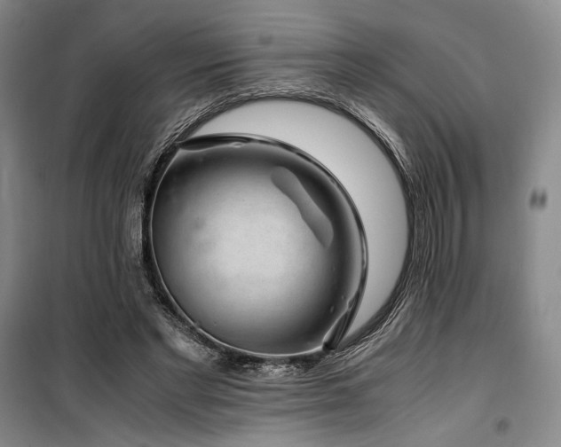 X0000100380493200806061222