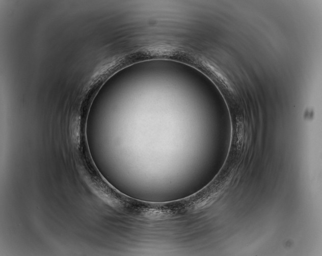 X0000100380494200806061222