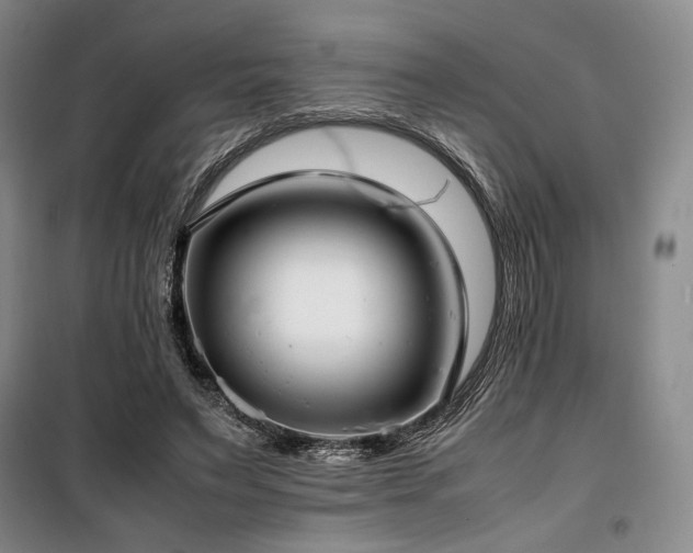 X0000100380495200806061222