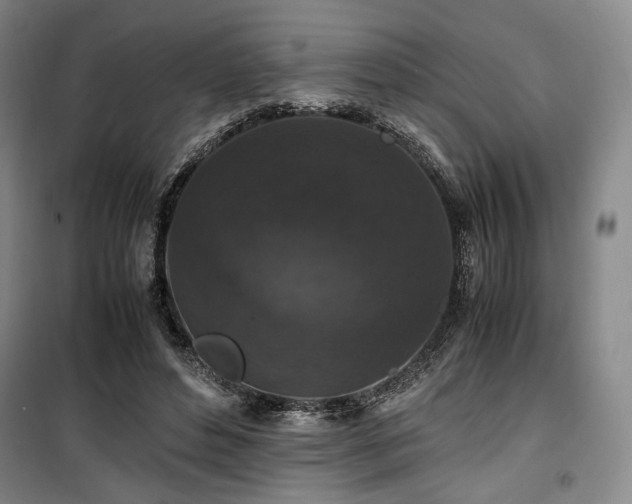 X0000100380496200806061222