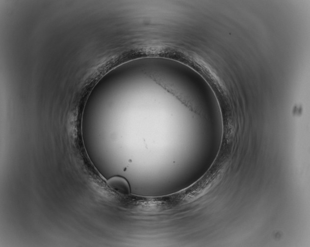 X0000100380497200806061222