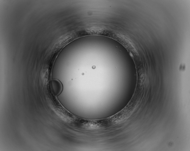 X0000100380498200806061222