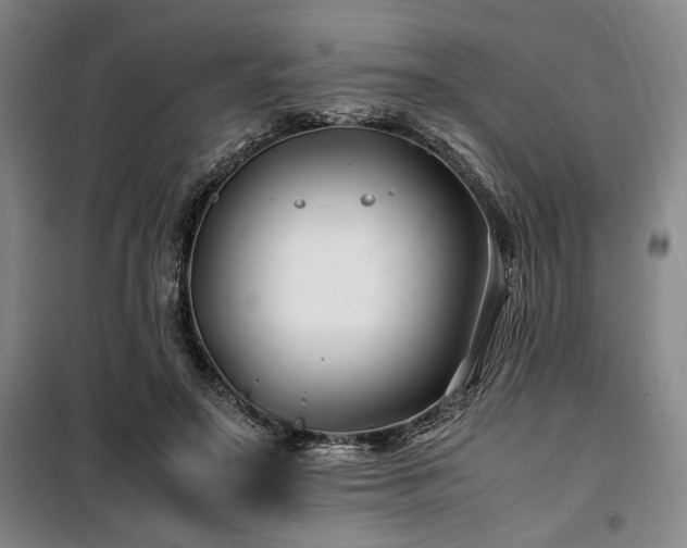 X0000100380499200806061222