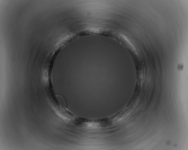 X0000100380500200806061222