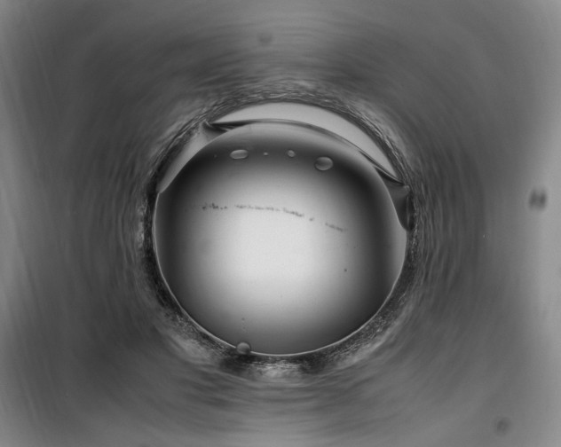 X0000100380501200806061222