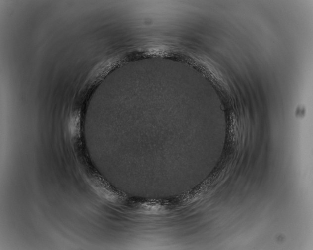 X0000100380502200806061222