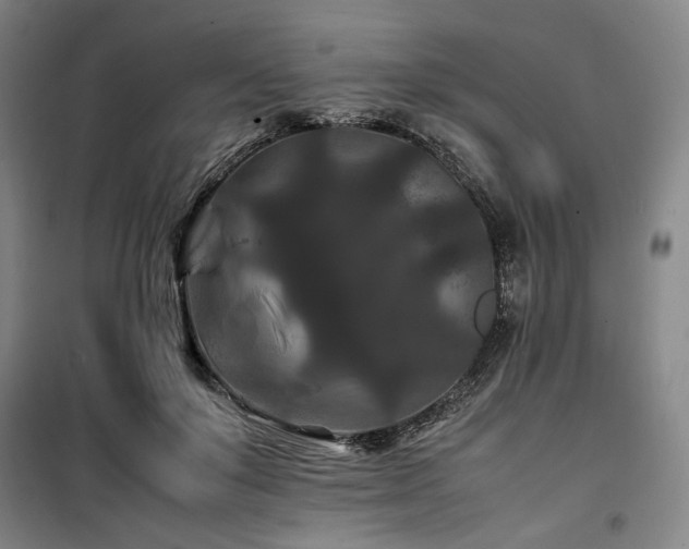 X0000100380503200806061222