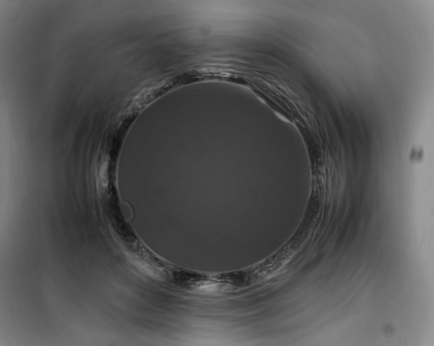 X0000100380504200806061222