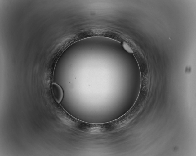 X0000100380505200806061222