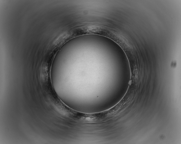 X0000100380506200806061222