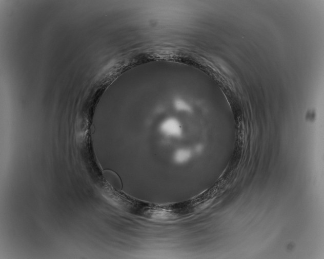 X0000100380507200806061222