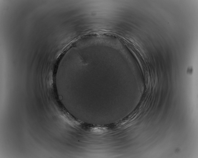 X0000100380508200806061222