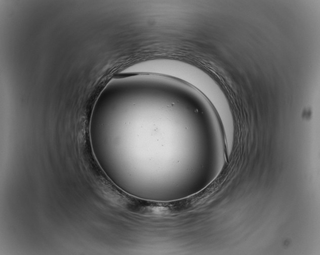 X0000100380509200806061222