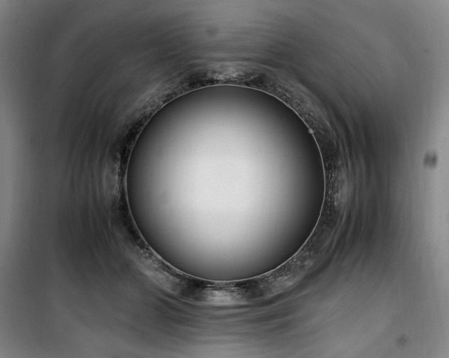 X0000100380510200806061221