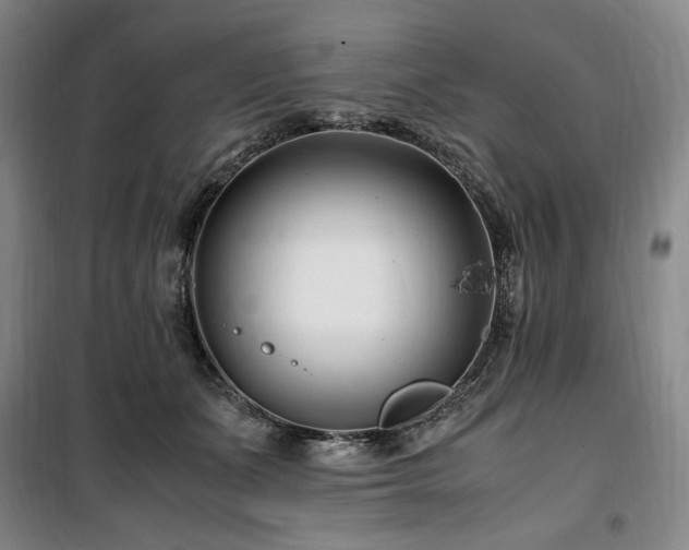 X0000100380511200806061221