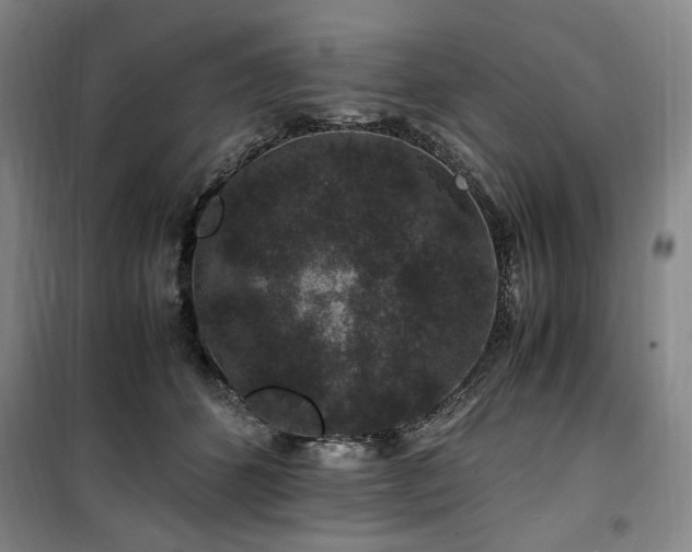 X0000100380512200806061221