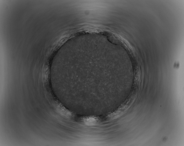 X0000100380513200806061221