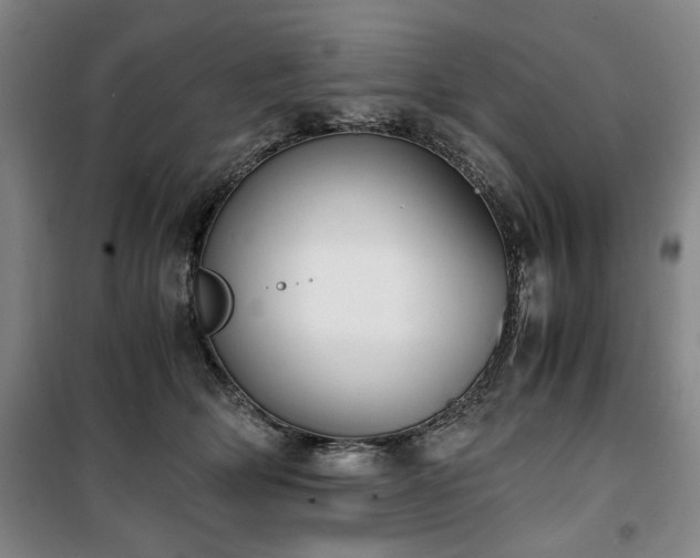 X0000100380514200806061221