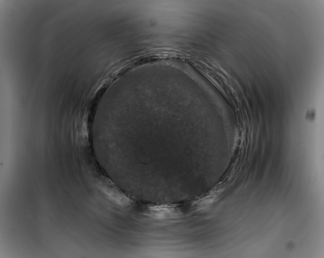 X0000100380516200806061221
