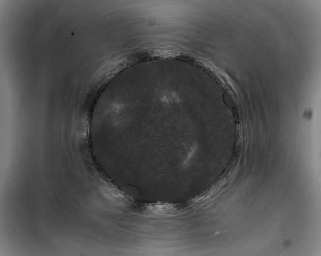 X0000100380517200806061221