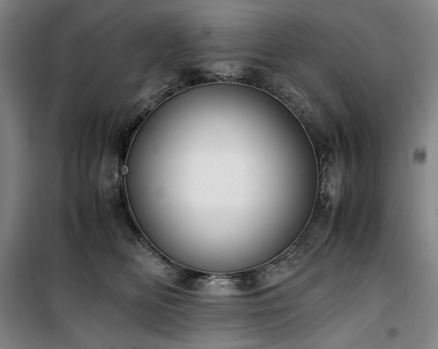 X0000100380518200806061221