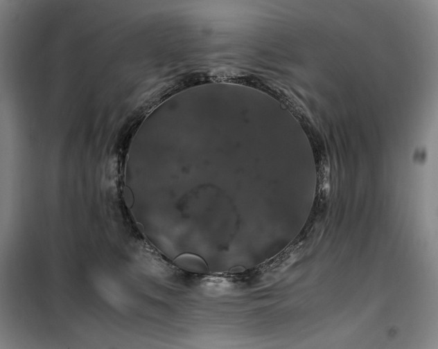 X0000100380519200806061221