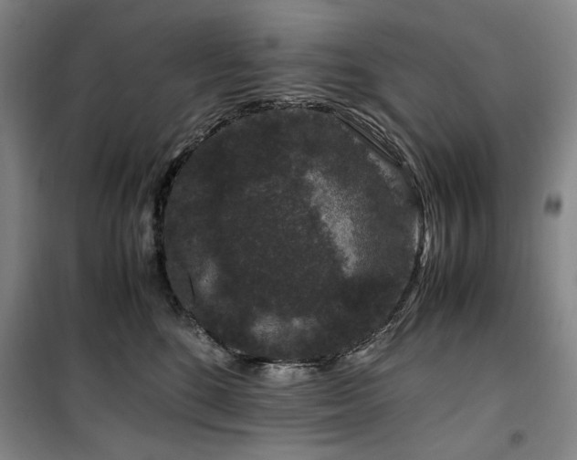 X0000100380520200806061221