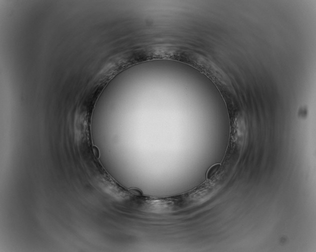 X0000100380522200806061221