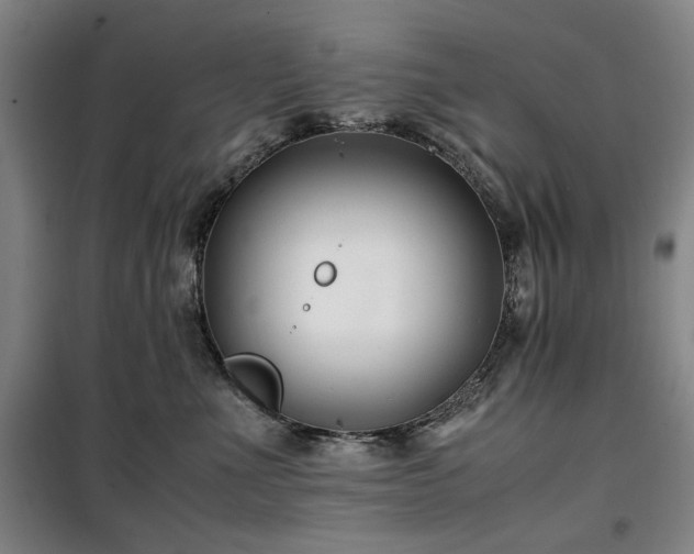 X0000100380523200806061221