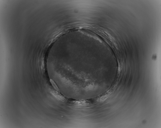 X0000100380524200806061221
